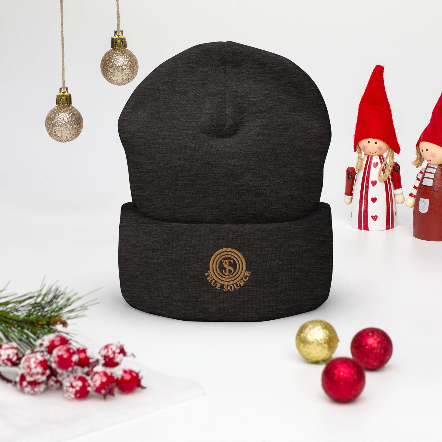 True Source-Cuffed Beanie