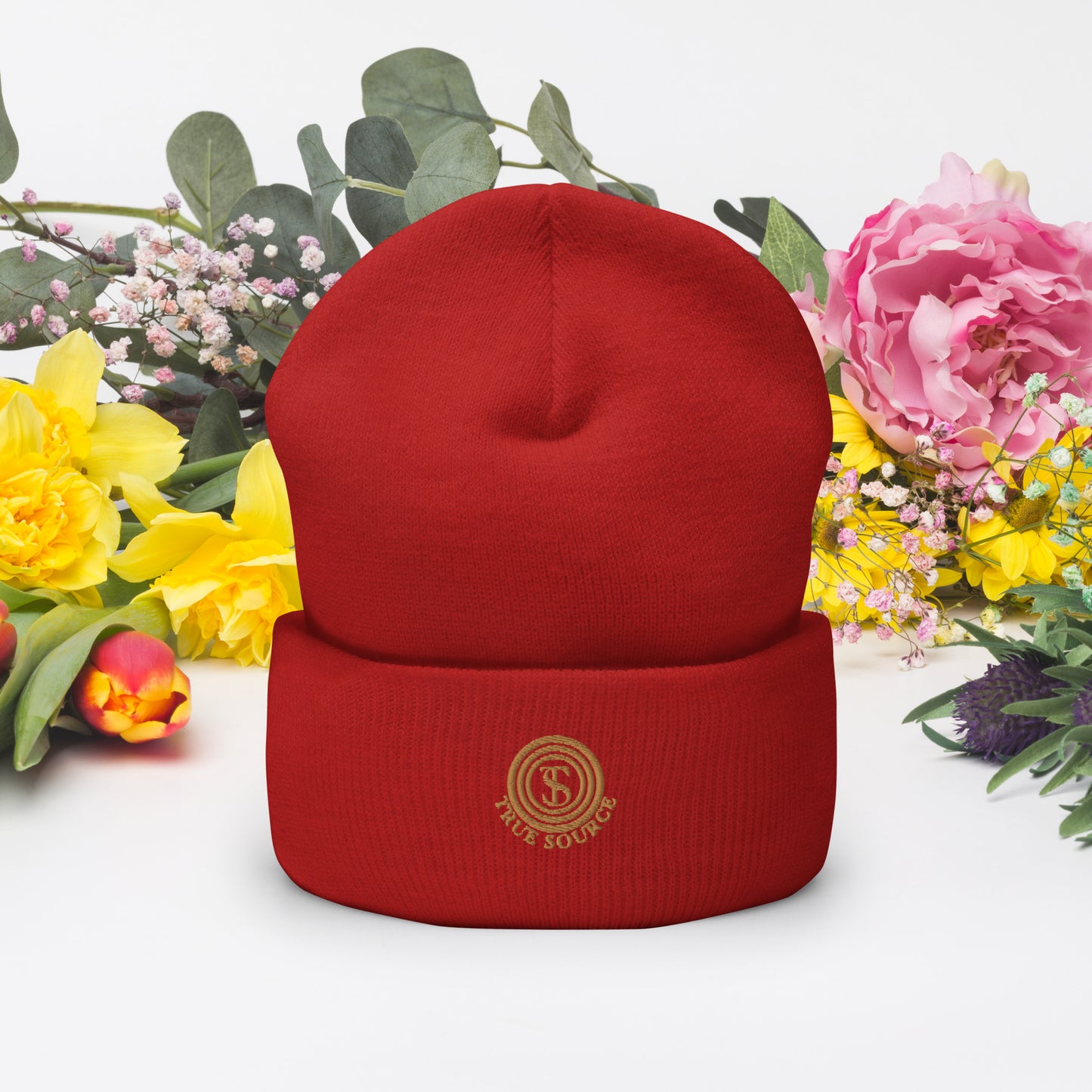 True Source-Cuffed Beanie