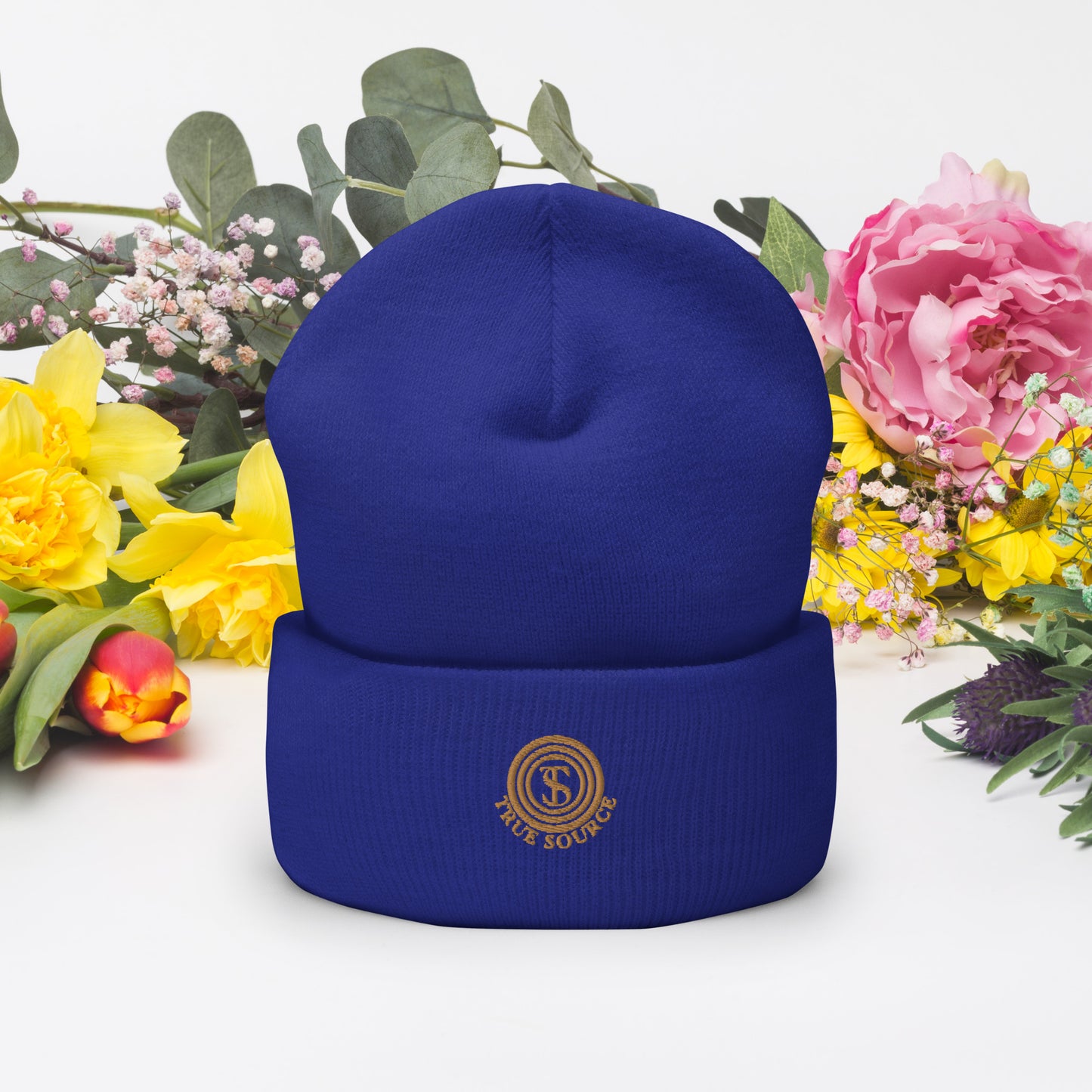 True Source-Cuffed Beanie