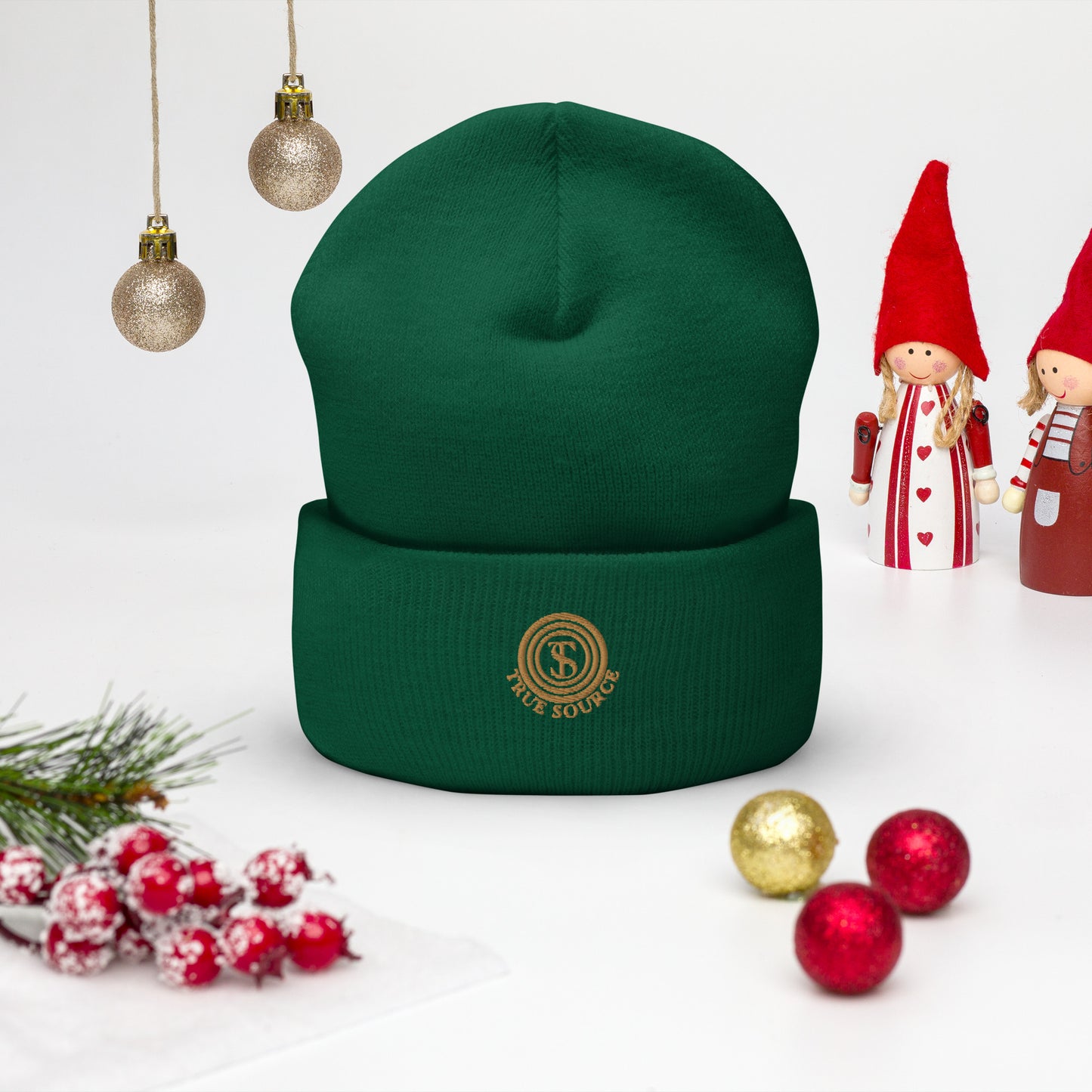 True Source-Cuffed Beanie