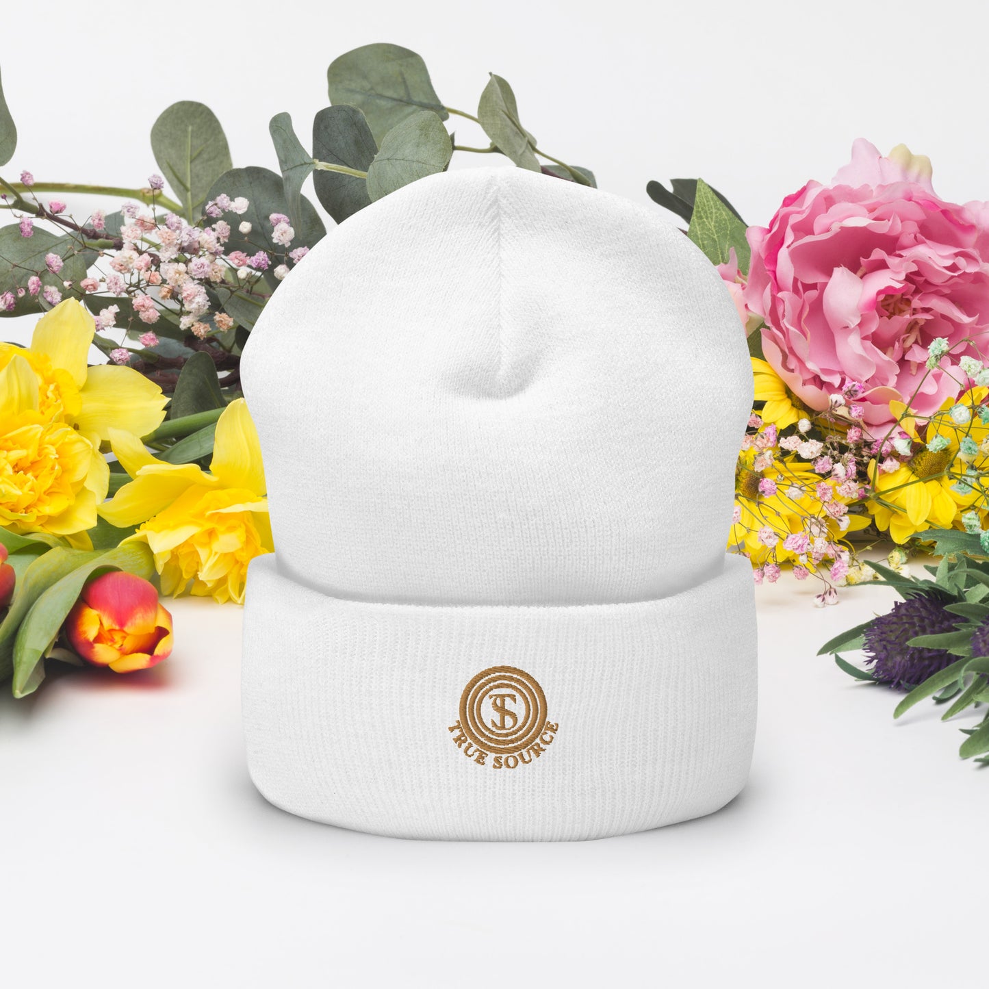 True Source-Cuffed Beanie