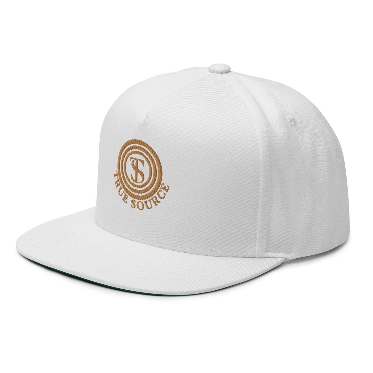 True Source-Flat Bill Cap