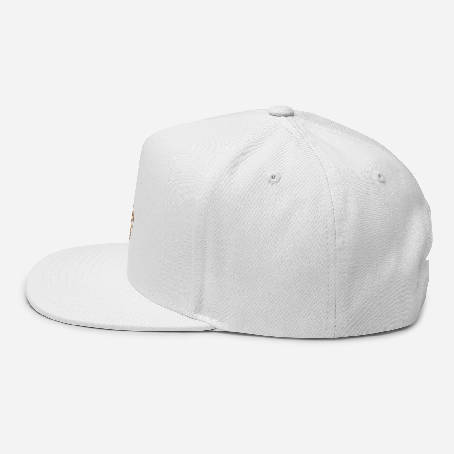 True Source-Flat Bill Cap